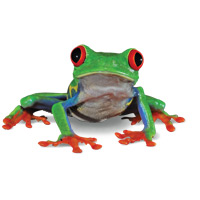 Reptile Industries - Small Frog